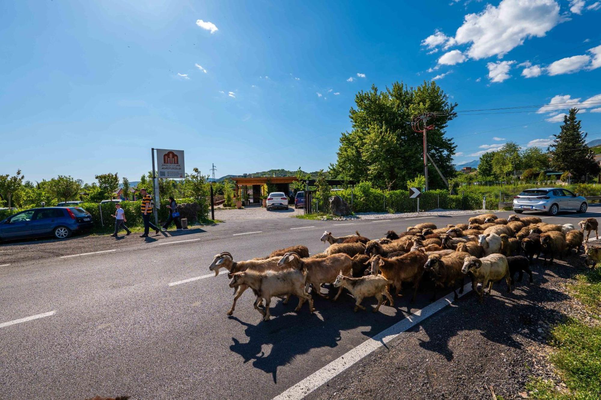 Mesopotam Agrotourism Resort Саранда Экстерьер фото